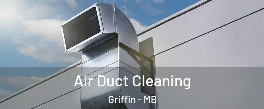  Air Duct Cleaning Griffin - MB