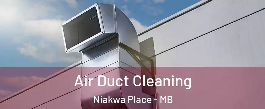  Air Duct Cleaning Niakwa Place - MB