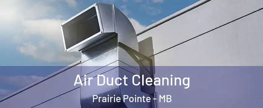  Air Duct Cleaning Prairie Pointe - MB