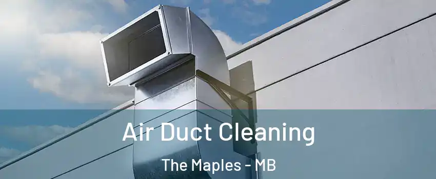  Air Duct Cleaning The Maples - MB