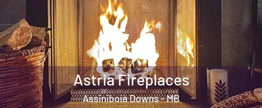  Astria Fireplaces Assiniboia Downs - MB