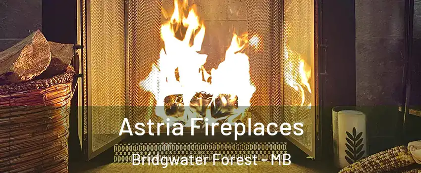  Astria Fireplaces Bridgwater Forest - MB