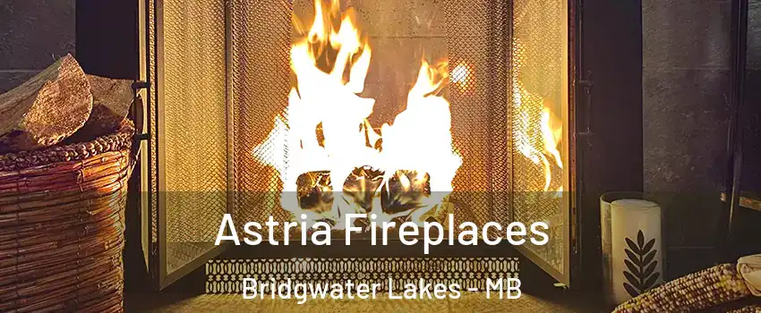  Astria Fireplaces Bridgwater Lakes - MB