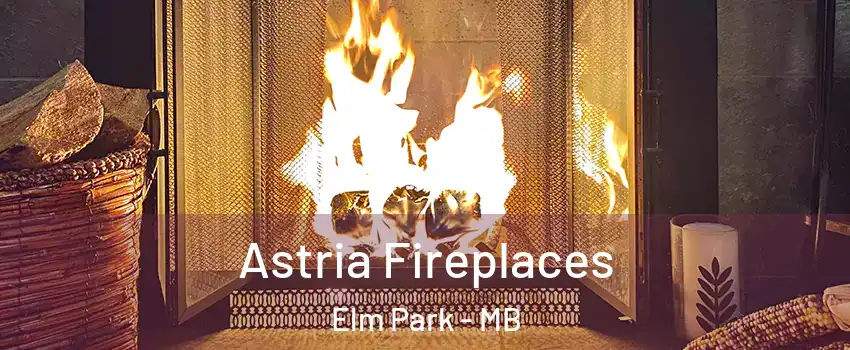  Astria Fireplaces Elm Park - MB
