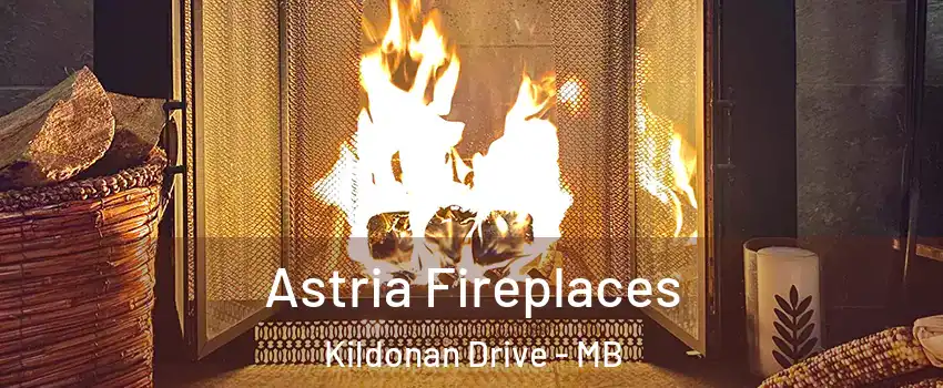  Astria Fireplaces Kildonan Drive - MB