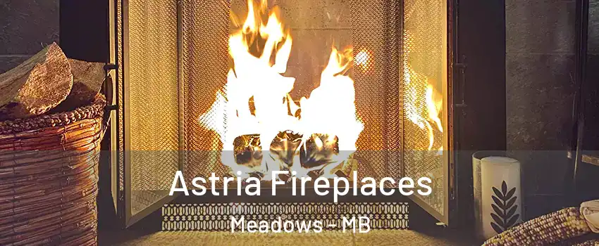  Astria Fireplaces Meadows - MB