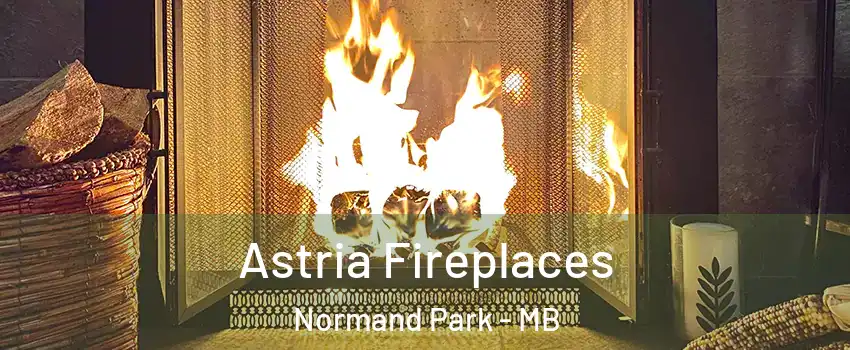  Astria Fireplaces Normand Park - MB