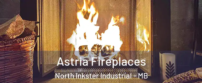  Astria Fireplaces North Inkster Industrial - MB