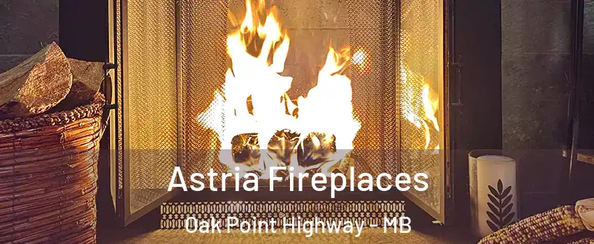  Astria Fireplaces Oak Point Highway - MB