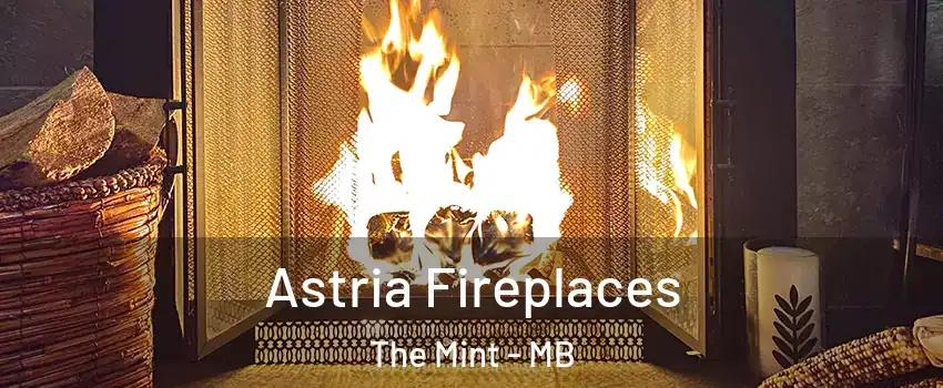  Astria Fireplaces The Mint - MB