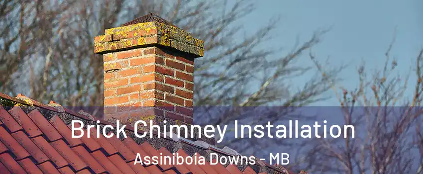  Brick Chimney Installation Assiniboia Downs - MB