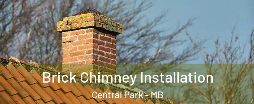  Brick Chimney Installation Central Park - MB