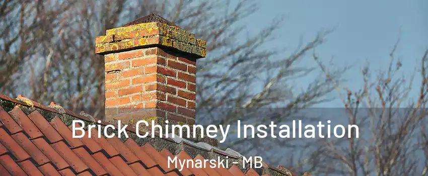  Brick Chimney Installation Mynarski - MB