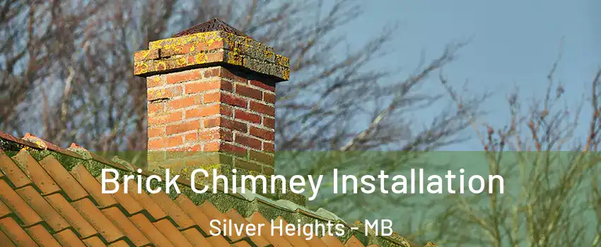  Brick Chimney Installation Silver Heights - MB