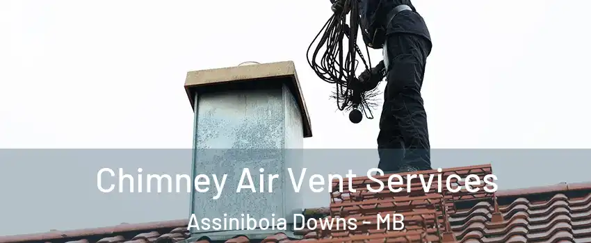  Chimney Air Vent Services Assiniboia Downs - MB