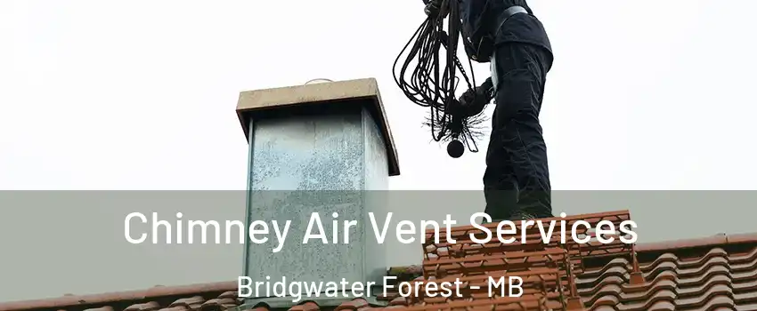  Chimney Air Vent Services Bridgwater Forest - MB