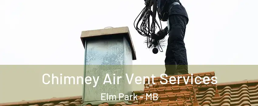  Chimney Air Vent Services Elm Park - MB