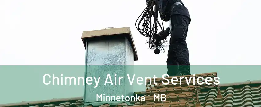  Chimney Air Vent Services Minnetonka - MB