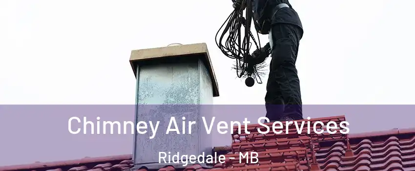  Chimney Air Vent Services Ridgedale - MB