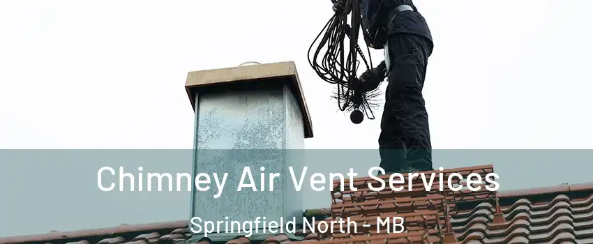  Chimney Air Vent Services Springfield North - MB