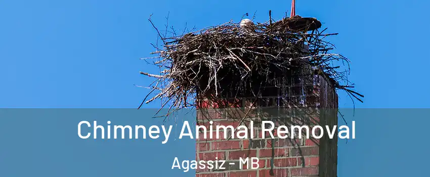 Chimney Animal Removal Agassiz - MB
