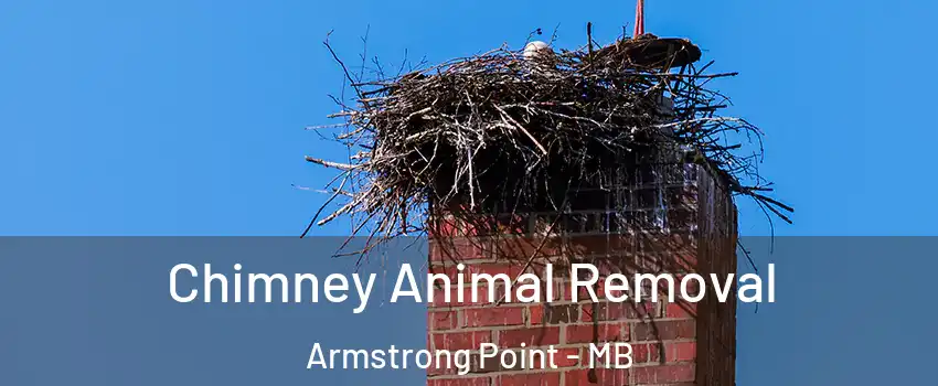  Chimney Animal Removal Armstrong Point - MB
