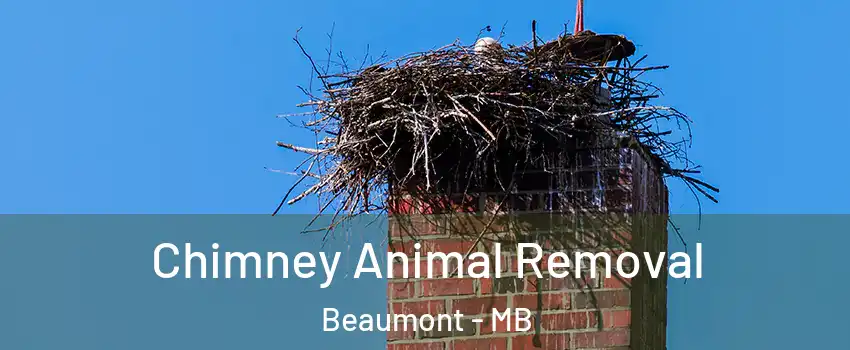Chimney Animal Removal Beaumont - MB