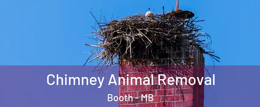 Chimney Animal Removal Booth - MB