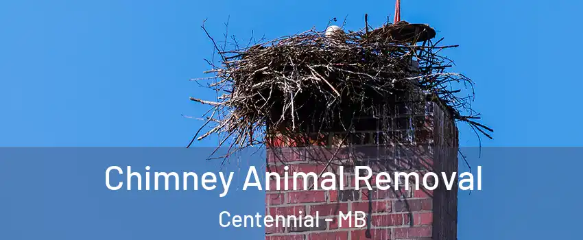 Chimney Animal Removal Centennial - MB