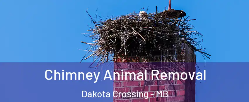 Chimney Animal Removal Dakota Crossing - MB