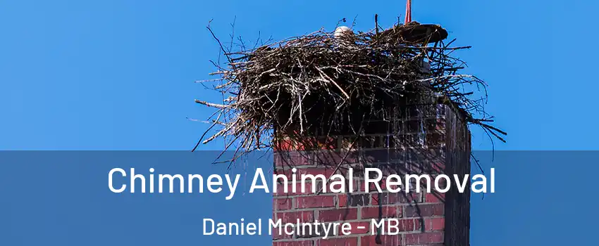 Chimney Animal Removal Daniel McIntyre - MB