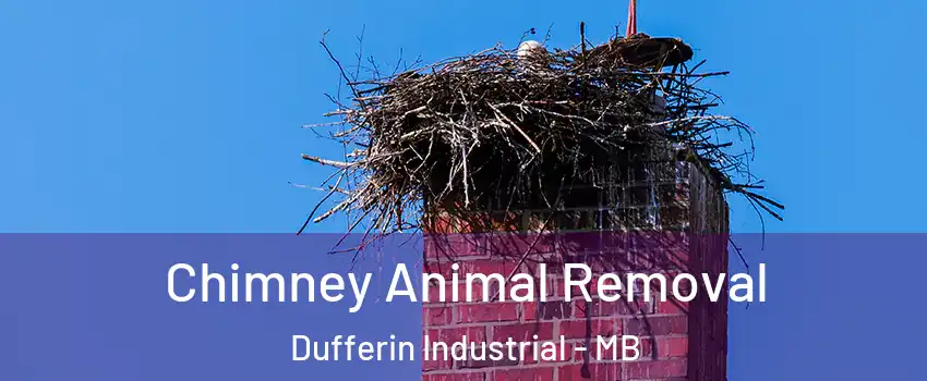 Chimney Animal Removal Dufferin Industrial - MB