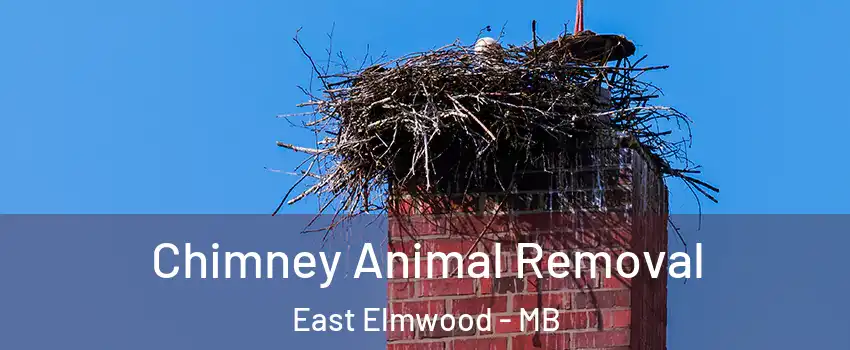 Chimney Animal Removal East Elmwood - MB