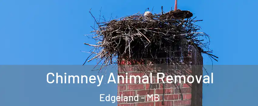 Chimney Animal Removal Edgeland - MB