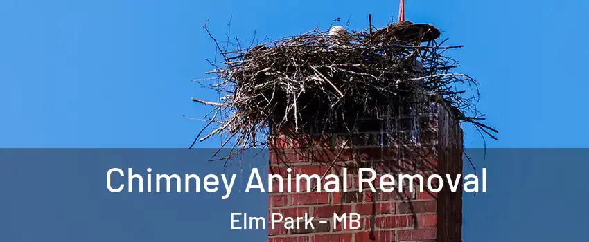 Chimney Animal Removal Elm Park - MB
