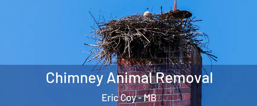 Chimney Animal Removal Eric Coy - MB