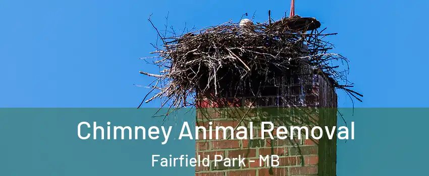 Chimney Animal Removal Fairfield Park - MB