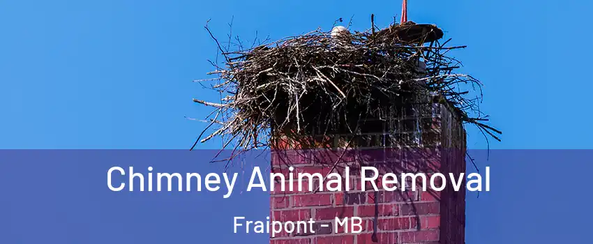 Chimney Animal Removal Fraipont - MB