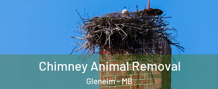 Chimney Animal Removal Glenelm - MB