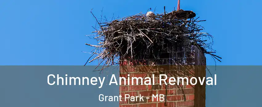 Chimney Animal Removal Grant Park - MB