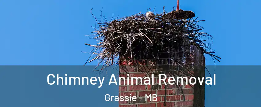 Chimney Animal Removal Grassie - MB