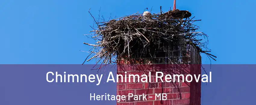  Chimney Animal Removal Heritage Park - MB