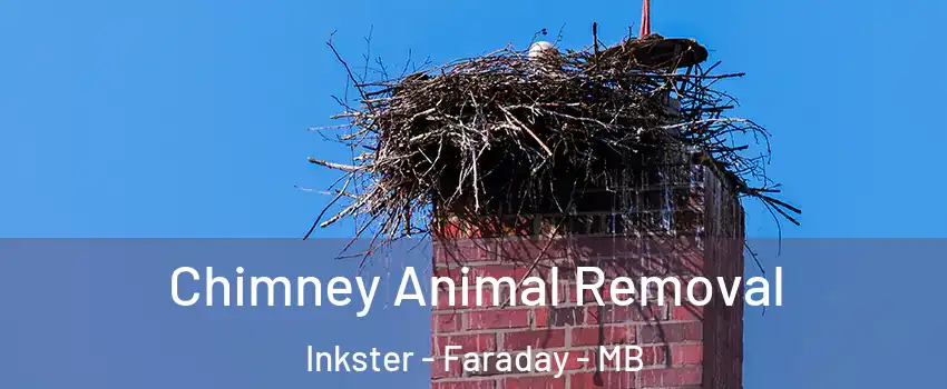 Chimney Animal Removal Inkster - Faraday - MB