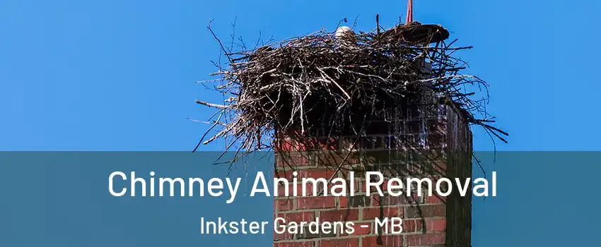 Chimney Animal Removal Inkster Gardens - MB