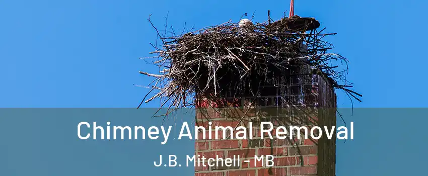 Chimney Animal Removal J.B. Mitchell - MB