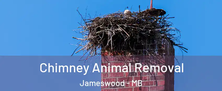 Chimney Animal Removal Jameswood - MB