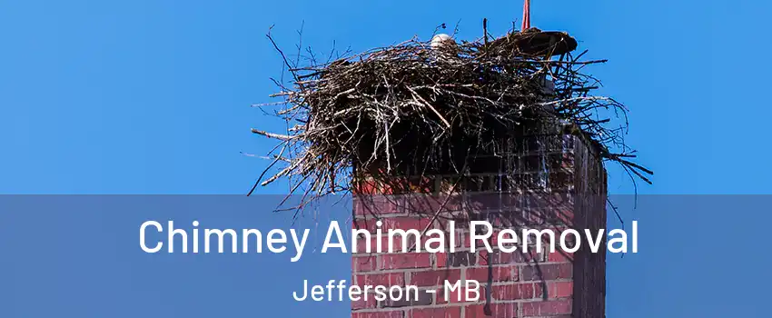 Chimney Animal Removal Jefferson - MB