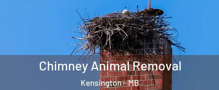  Chimney Animal Removal Kensington - MB