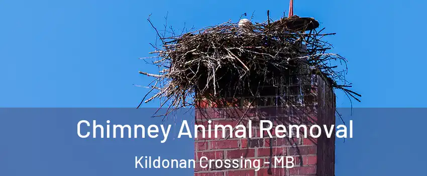Chimney Animal Removal Kildonan Crossing - MB