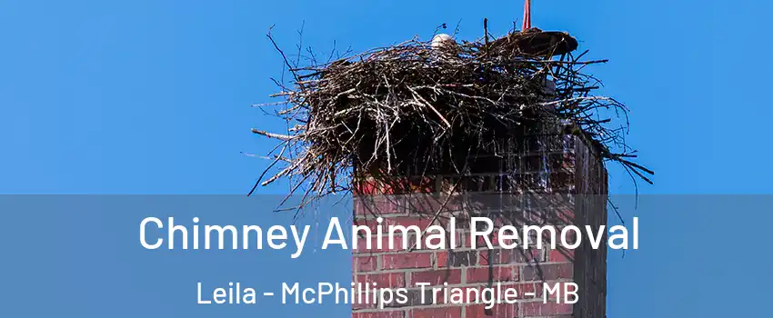  Chimney Animal Removal Leila - McPhillips Triangle - MB